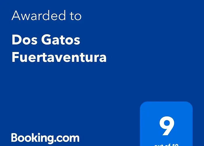 Dos Gatos Fuertaventura Caleta De Fuste