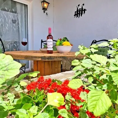 Dos Gatos Fuertaventura