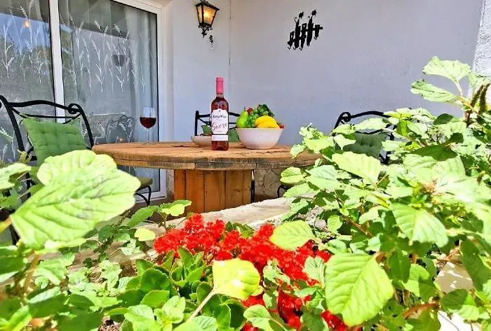 Dos Gatos Fuertaventura